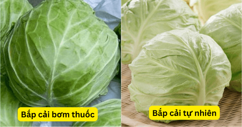 Bắp cải an toàn: Cách nhận biết rau sạch giữa thực phẩm bẩn - Ảnh 5. Bắp cải an toàn: Cách nhận biết rau sạch giữa thực phẩm bẩn - Ảnh 5.