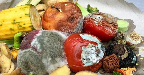 Thực phẩm mốc chỉ cần vứt bỏ hay cắt phần hỏng là vẫn dùng được? Những dấu hiệu nhận biết không phải ai cũng rõ- Ảnh 1. Thực phẩm mốc chỉ cần vứt bỏ hay cắt phần hỏng là vẫn dùng được? Những dấu hiệu nhận biết không phải ai cũng rõ- Ảnh 1.