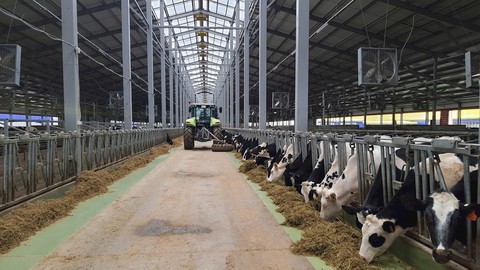 Tổng Bí thư chứng kiến "kỳ tích sữa Việt” tại Nga: Dấu mốc mới trên đường TH chinh phục thế giới - Ảnh 12.