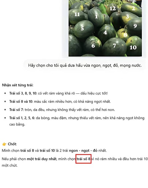 Chọn dưa hấu chuẩn như chuyên gia nhờ ChatGPT: Bí quyết từ AI giúp bạn - Ảnh 8. Chọn dưa hấu chuẩn như chuyên gia nhờ ChatGPT: Bí quyết từ AI giúp bạn - Ảnh 8.