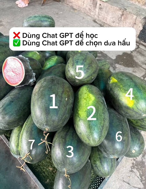 Chọn dưa hấu chuẩn như chuyên gia nhờ ChatGPT: Bí quyết từ AI giúp bạn - Ảnh 3. Chọn dưa hấu chuẩn như chuyên gia nhờ ChatGPT: Bí quyết từ AI giúp bạn - Ảnh 3.