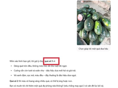 Chọn dưa hấu chuẩn như chuyên gia nhờ ChatGPT: Bí quyết từ AI giúp bạn - Ảnh 4. Chọn dưa hấu chuẩn như chuyên gia nhờ ChatGPT: Bí quyết từ AI giúp bạn - Ảnh 4.