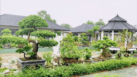 4 anh em ruột xây 4 căn villa giống hệt nhau trong khuôn viên rộng 6.000m2 ở Thanh Hóa: Resort nào đọ nổi đây?- Ảnh 12. 4 anh em ruột xây 4 căn villa giống hệt nhau trong khuôn viên rộng 6.000m2 ở Thanh Hóa: Resort nào đọ nổi đây?- Ảnh 12.