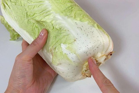 Cải thảo có đốm đen có ăn được không? Cách chọn rau tươi ngon an toàn - Ảnh 2. Cải thảo có đốm đen có ăn được không? Cách chọn rau tươi ngon an toàn - Ảnh 2.