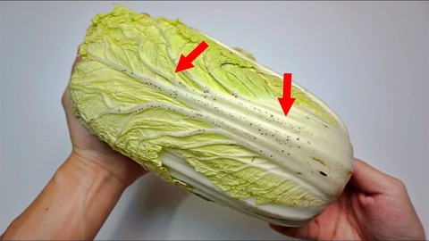 Cải thảo có đốm đen có ăn được không? Cách chọn rau tươi ngon an toàn - Ảnh 1. Cải thảo có đốm đen có ăn được không? Cách chọn rau tươi ngon an toàn - Ảnh 1.