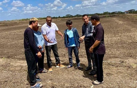 Chỉ sau hơn 120 ngày, loài vật tỷ USD của Việt Nam trở thành hiện tượng mới ở Cuba