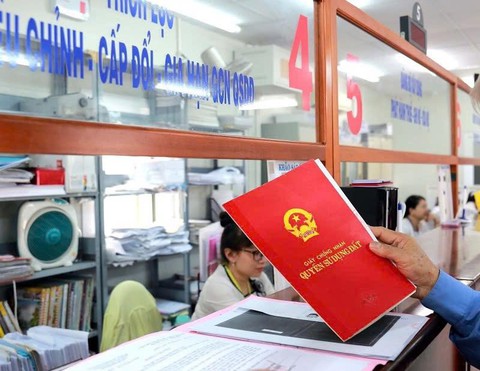 Hà Nội: Người dân "khóc dở, mếu dở" vì không thể tách thửa đất dịch vụ chia cho con cái - Ảnh 2. Hà Nội: Người dân "khóc dở, mếu dở" vì không thể tách thửa đất dịch vụ chia cho con cái - Ảnh 2.