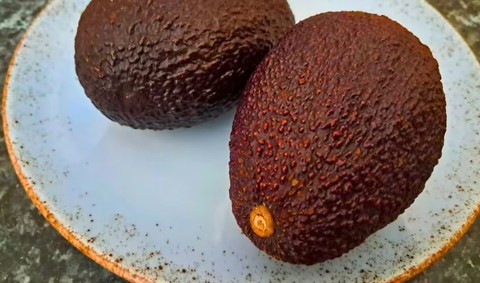 Cách làm bơ nhanh chín mà chẳng cần hóa chất: Chỉ sau 8 tiếng là ăn được!- Ảnh 2.