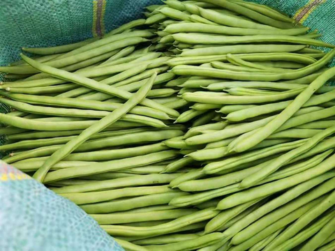 5 loại rau quả dễ 