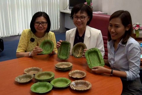 Không cần đồ nhựa, xốp dùng 1 lần cực độc, người Thái có 1 sự thay thế đáng học tập - Ảnh 3. Không cần đồ nhựa, xốp dùng 1 lần cực độc, người Thái có 1 sự thay thế đáng học tập - Ảnh 3.