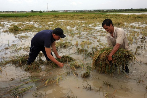 Ninh Thuận vẫn đang mưa lớn, dự báo lũ sẽ dữ dội - Ảnh 4. Ninh Thuận vẫn đang mưa lớn, dự báo lũ sẽ dữ dội - Ảnh 4.