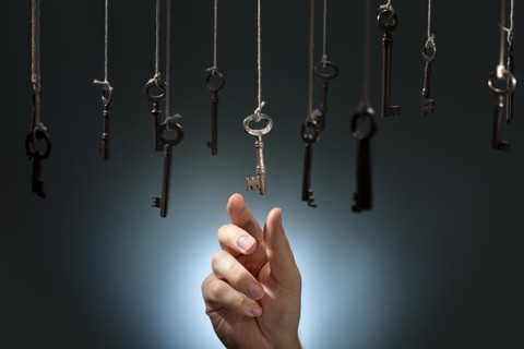 Vì sao nói trực giác giúp chúng ta thành thiên tài, nhưng cũng rất đỏng đảnh, phản trắc? - Ảnh 2. Vì sao nói trực giác giúp chúng ta thành thiên tài, nhưng cũng rất đỏng đảnh, phản trắc? - Ảnh 2.