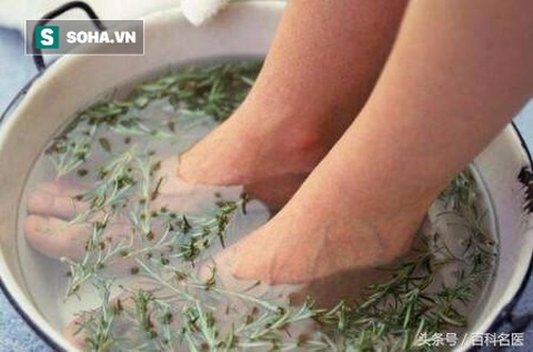 Ngâm châm bằng lá ngải cứu Điều kỳ diệu sẽ xảy ra Ngâm châm bằng lá ngải cứu Điều kỳ diệu sẽ xảy ra