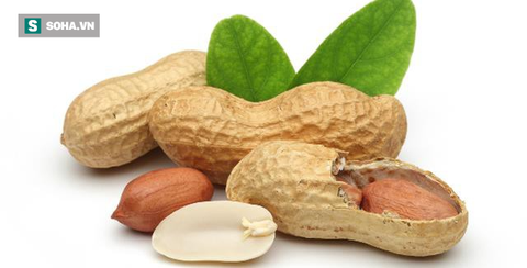 Những món ăn bồi bổ sức khỏe từ quả trường sinh, bạn không nên bỏ qua - Ảnh 1. Những món ăn bồi bổ sức khỏe từ quả trường sinh, bạn không nên bỏ qua - Ảnh 1.