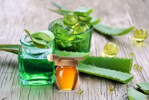 Đừng nghĩ lô hội chỉ để bôi da, loại cây này còn giúp trị dứt điểm vô vàn bệnh mà bạn không hay biết - Ảnh 3. Đừng nghĩ lô hội chỉ để bôi da, loại cây này còn giúp trị dứt điểm vô vàn bệnh mà bạn không hay biết - Ảnh 3.