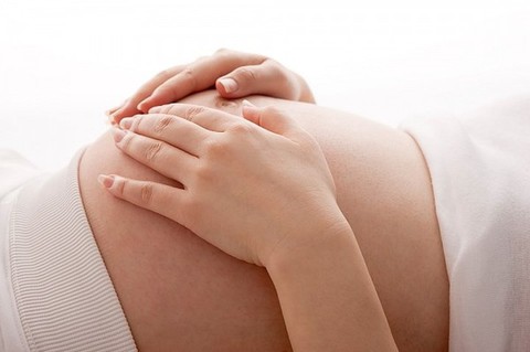 Lô hội rất độc nếu không sử dụng đúng cách - Ảnh 3. Lô hội rất độc nếu không sử dụng đúng cách - Ảnh 3.