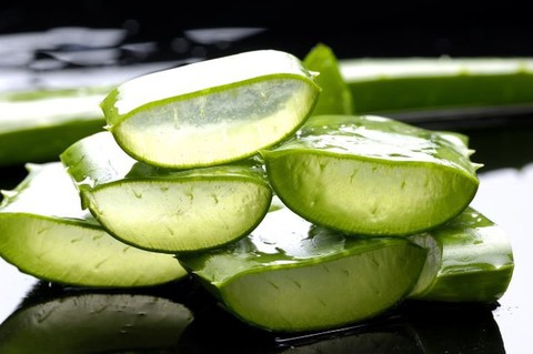 Lô hội rất độc nếu không sử dụng đúng cách - Ảnh 9. Lô hội rất độc nếu không sử dụng đúng cách - Ảnh 9.