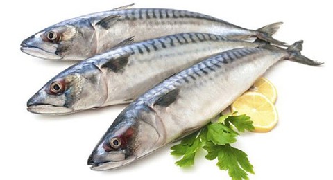 Giữ không đủ lạnh, cá biển có thể bị nhiễm độc - Ảnh 1. Giữ không đủ lạnh, cá biển có thể bị nhiễm độc - Ảnh 1.