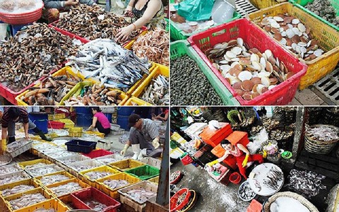 Giữ không đủ lạnh, cá biển có thể bị nhiễm độc - Ảnh 2. Giữ không đủ lạnh, cá biển có thể bị nhiễm độc - Ảnh 2.