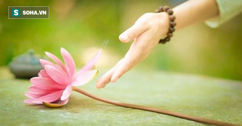 2 việc ngu xuẩn nhất, ai cũng nên tránh nếu không muốn hủy hoại chính mình - Ảnh 1. 2 việc ngu xuẩn nhất, ai cũng nên tránh nếu không muốn hủy hoại chính mình - Ảnh 1.