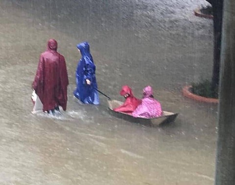Nghệ An: Ngập sâu ở thành phố, dân dùng chõng tre làm bè đi lại trên đường - Ảnh 19. Nghệ An: Ngập sâu ở thành phố, dân dùng chõng tre làm bè đi lại trên đường - Ảnh 19.