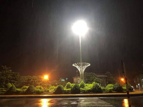 Bão đổ bộ trong đêm, cây ngã đổ la liệt, nhiều địa phương ở Phú Yên, Bình Định mất điện - Ảnh 2. Bão đổ bộ trong đêm, cây ngã đổ la liệt, nhiều địa phương ở Phú Yên, Bình Định mất điện - Ảnh 2.