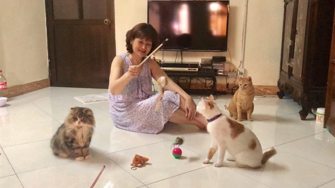 Người phụ nữ sống cùng hơn 40 con mèo bị bỏ rơi ở Hà Nội: Nhiều người bảo tôi là dở hơi đấy - Ảnh 6. Người phụ nữ sống cùng hơn 40 con mèo bị bỏ rơi ở Hà Nội: Nhiều người bảo tôi là dở hơi đấy - Ảnh 6.