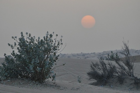 6 điều nên biết về đất nước UAE - Ảnh 2. 6 điều nên biết về đất nước UAE - Ảnh 2.