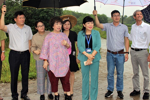 Nữ đại gia Thái Hương bất ngờ lấn sân sang BĐS nghỉ dưỡng bằng loạt dự án lớn - Ảnh 1. Nữ đại gia Thái Hương bất ngờ lấn sân sang BĐS nghỉ dưỡng bằng loạt dự án lớn - Ảnh 1.