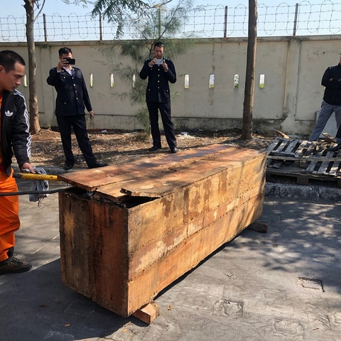 Cận cảnh 2 tấn ngà voi, vảy tê tê châu Phi ngụy trang trong hộp gỗ - Ảnh 5. Cận cảnh 2 tấn ngà voi, vảy tê tê châu Phi ngụy trang trong hộp gỗ - Ảnh 5.