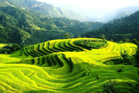 Thanh xuân của bạn đang bỏ lỡ những gì, quẳng gánh lo đi và tận hưởng thôi! - Ảnh 2. Thanh xuân của bạn đang bỏ lỡ những gì, quẳng gánh lo đi và tận hưởng thôi! - Ảnh 2.