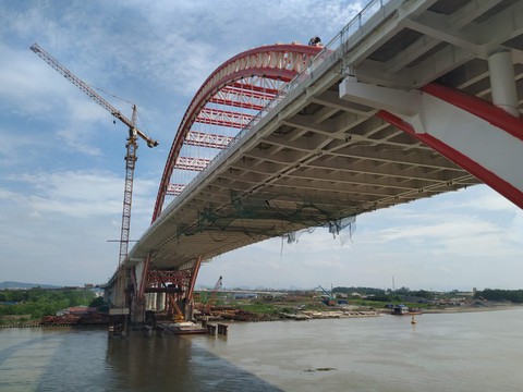 Cánh chim biển Hải Phòng trước ngày tung cánh - Ảnh 13.