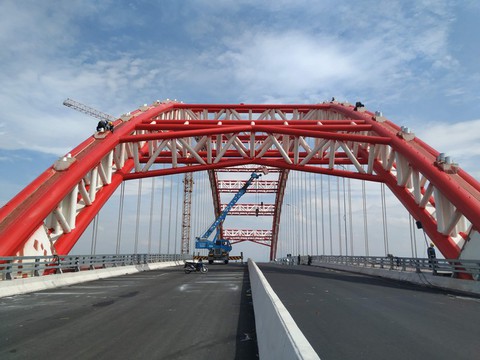 Cánh chim biển Hải Phòng trước ngày tung cánh - Ảnh 6.