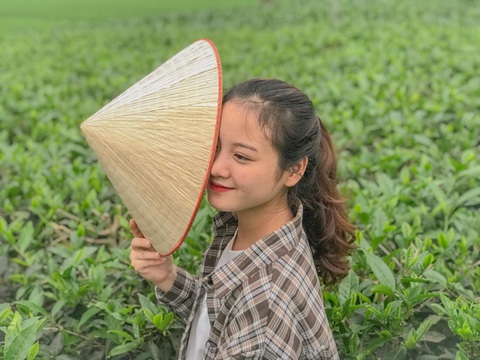 Nghỉ học về quê hái chè, nữ sinh Thái Nguyên bỗng gây chú ý vì bức ảnh chụp vội đăng trên trang cá nhân - Ảnh 2. Nghỉ học về quê hái chè, nữ sinh Thái Nguyên bỗng gây chú ý vì bức ảnh chụp vội đăng trên trang cá nhân - Ảnh 2.