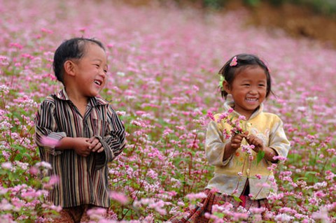 Du lịch Hà Giang vào mùa đông có gì? Du lịch Hà Giang vào mùa đông có đẹp