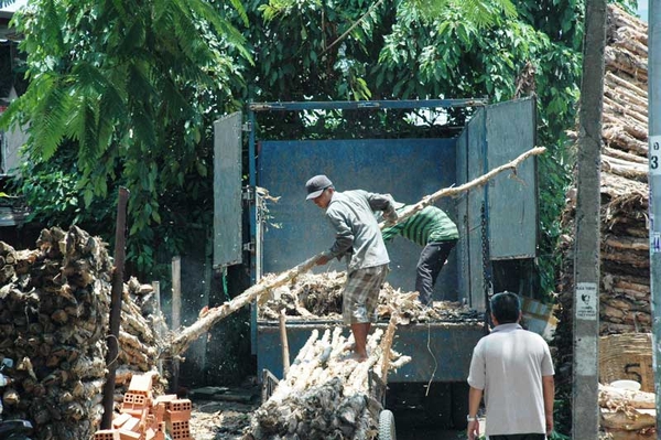 Giữa trưa, những công nhân bốc xếp vẫn tiếp tục công việc tháo dỡ các cây gỗ