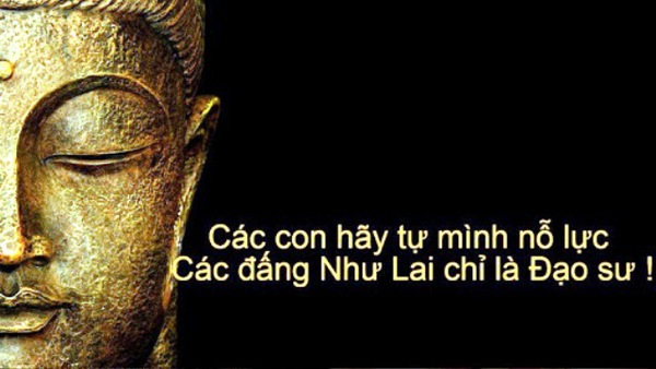 Những câu cảm xúc ấn tượng của cộng đồng Facebook