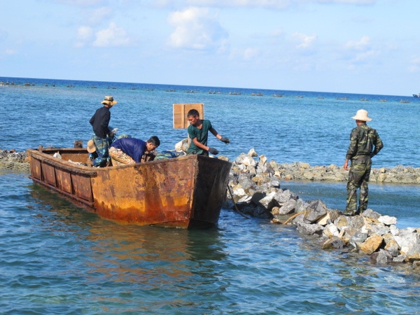 Đảo Sơn Ca đang được các chiến sĩ công binh gia cố xây bờ bao để chắn sóng 