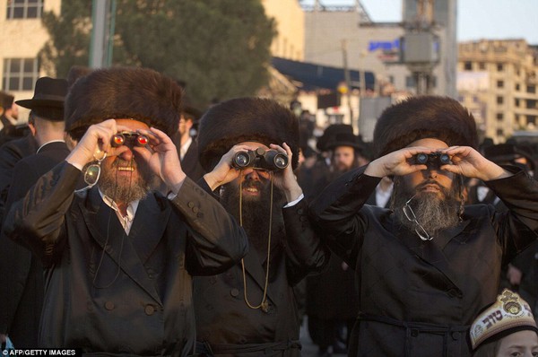 Spectators: Ultra-Orthodox Jews of the Belz Hasidic Dynasty use binoculars to watch the wedding ceremony