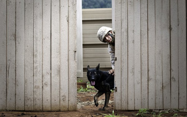 Ngắm những bức ảnh đẹp nhất của quân đội Mỹ 2012