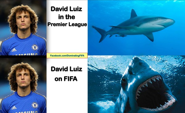 
	Sự khác biệt của Luiz