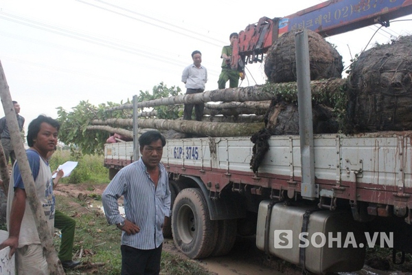 Họ là công nhân làm thuê cho công ty Becamex nên khó có khả năng bồi thường những thiệt hại.