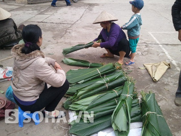 Các loại lá rong khá đắt khách và giá tăng mạnh.