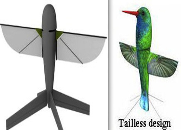 Điểm hạn chế duy nhất của UAV chim ruồi nằm ở khả năng cấp nguồn nên trong quá trình thử nghiệm loại chim này chỉ bay được trong vòng 10 phút, nhưng vấn đề trên đang được các nhà nghiên cứu của Mỹ cố gắng giải quyết trong tương lai gần...