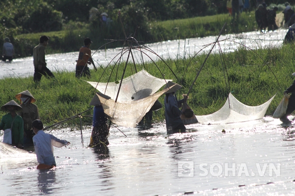 Ảnh đánh bắt cá