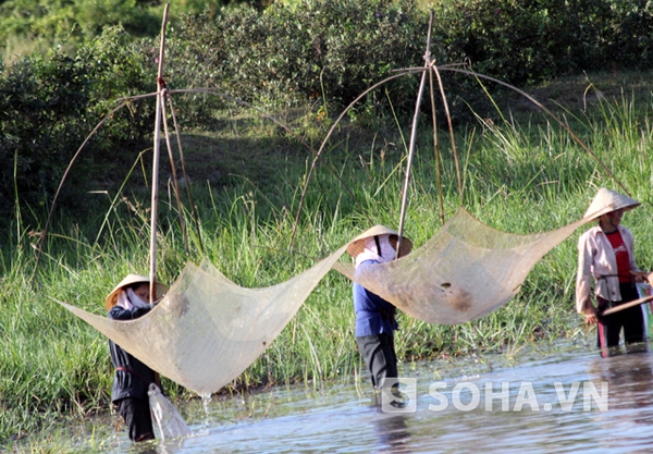 Ảnh đánh bắt cá