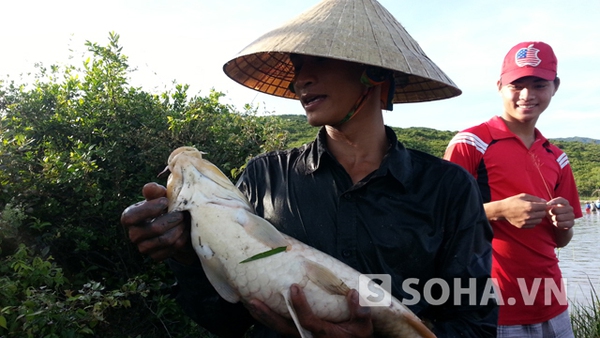 Ảnh đánh bắt cá