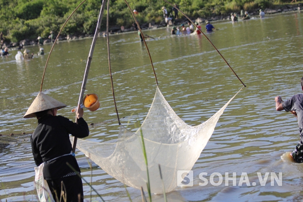 Ảnh đánh bắt cá