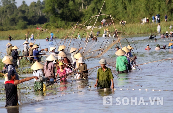 Ảnh đánh bắt cá