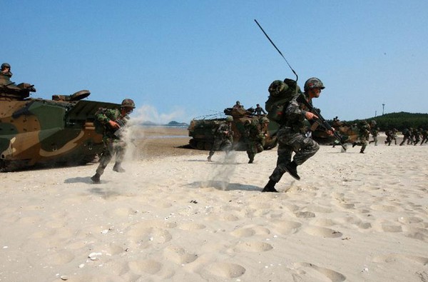 Lực lượng Lính thủy Đánh bộ Hàn Quốc có 27.000 quân thường trực, được tổ chức thành 2 sư đoàn và 1 lữ đoàn.